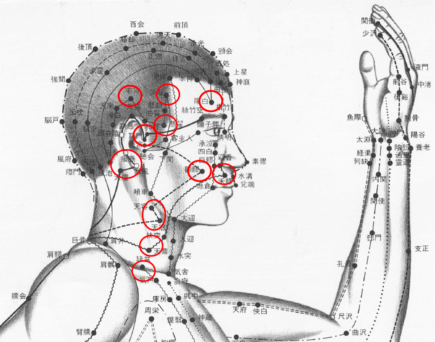 東洋医学について Art dryneedling&massage 東洋医学について Art dryneedling&massage